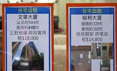 未曾见过香港人居，方知寻常生活贵