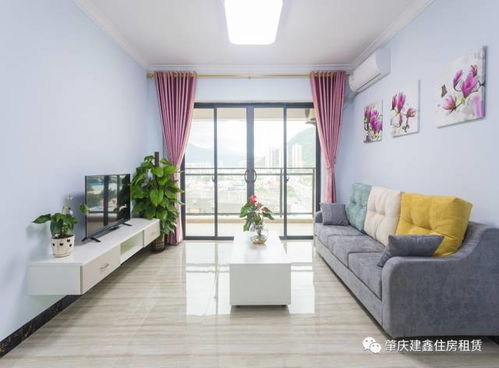 住房租赁试点新进展助力城市发展与摊位租赁规范化